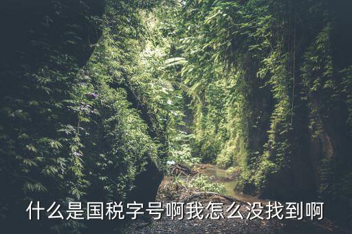 什么是國(guó)稅字號(hào)啊我怎么沒(méi)找到啊