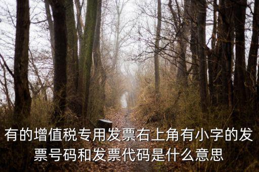 有的增值稅專(zhuān)用發(fā)票右上角有小字的發(fā)票號(hào)碼和發(fā)票代碼是什么意思