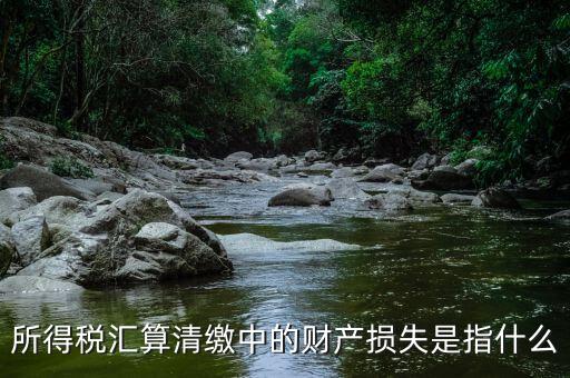 所得稅匯算清繳中的財產損失是指什么