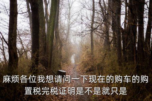 麻煩各位我想請(qǐng)問一下現(xiàn)在的購車的購置稅完稅證明是不是就只是