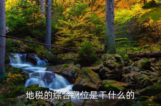 剛考進(jìn)地稅做什么工作，地稅的綜合職位是干什么的