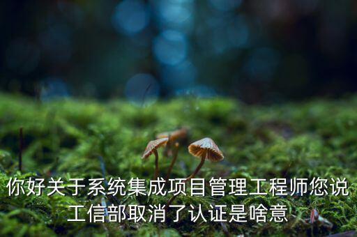 你好關(guān)于系統(tǒng)集成項目管理工程師您說工信部取消了認證是啥意