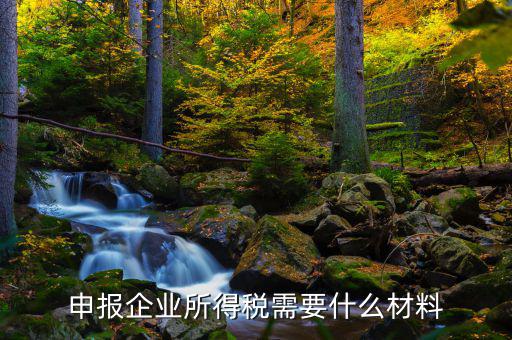 企業(yè)所得稅補申報需要什么，申報企業(yè)所得稅需要什么材料
