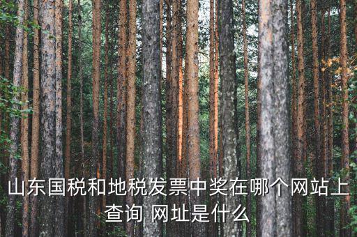 發(fā)票領(lǐng)用什么網(wǎng)站，誰(shuí)知道發(fā)票兌獎(jiǎng)上那個(gè)網(wǎng)站