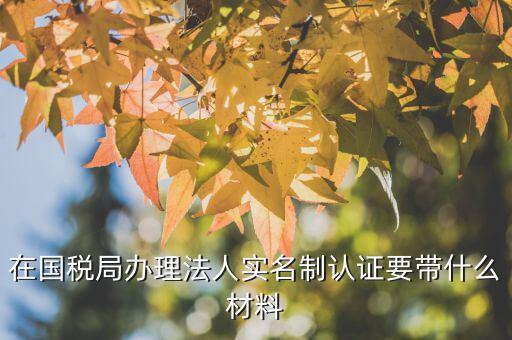 實(shí)名制辦稅員辦理需要什么資料，辦稅員證要帶什么資料