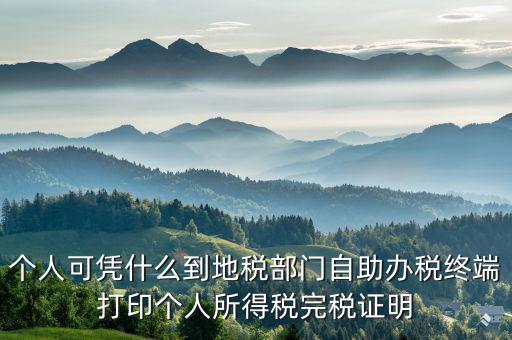 稅務(wù)局自助辦稅服務(wù)終端是什么，自助辦稅終端 報(bào)稅