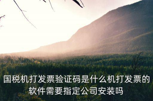 北京國(guó)稅電子發(fā)票驗(yàn)證密碼是什么，國(guó)稅局發(fā)票軟件里用戶代碼和密碼是什么