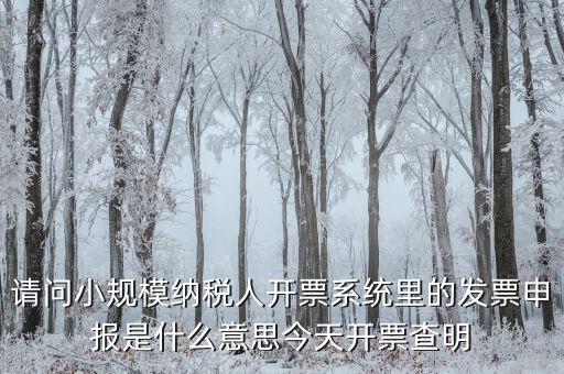 開票申報(bào)是什么原因，納稅申報(bào)出現(xiàn)的問題高手來解