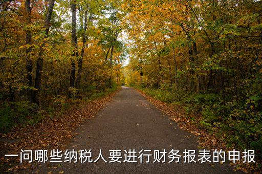 什么單位需要委托代征申報表，一問哪些納稅人要進行財務報表的申報