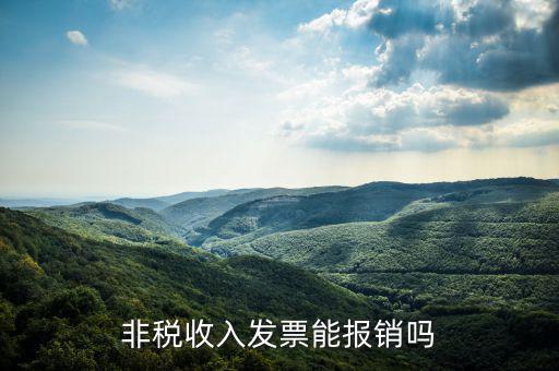 非稅收入發(fā)票能報(bào)銷(xiāo)嗎
