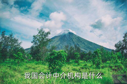什么是涉稅中介機構，我國會計中介機構是什么