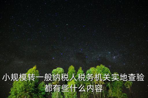小規(guī)模轉(zhuǎn)一般納稅人稅務(wù)機關(guān)實地查驗都有些什么內(nèi)容