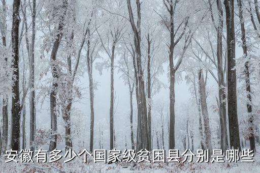 壽縣稅務(wù)局在什么地方，壽縣在什么地方