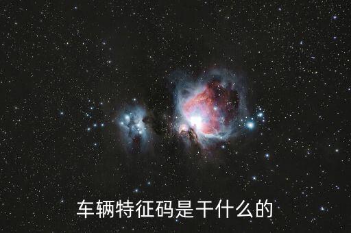稅政科是干什么的，稅務局里的稅政科和征管科都有哪些功能