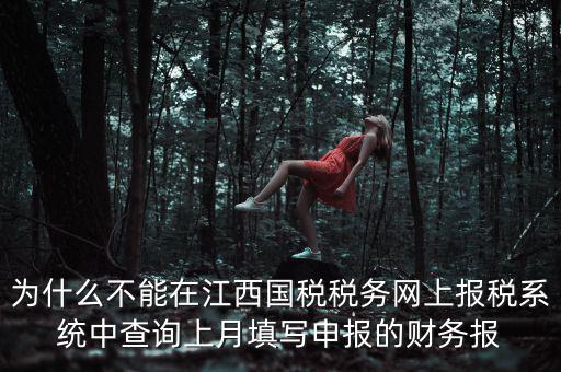 為什么不能在江西國稅稅務網上報稅系統(tǒng)中查詢上月填寫申報的財務報
