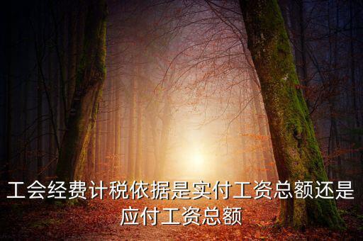 工會經(jīng)費計稅依據(jù)是實付工資總額還是應付工資總額