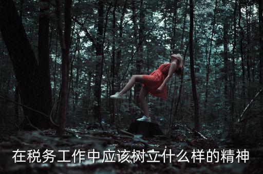 中國稅務(wù)精神是什么2018，在稅務(wù)工作中應(yīng)該樹立什么樣的精神