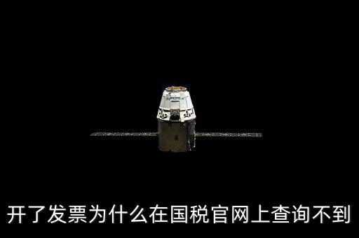 開了發(fā)票為什么在國稅官網上查詢不到