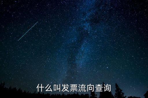 什么叫發(fā)票流向查詢(xún)