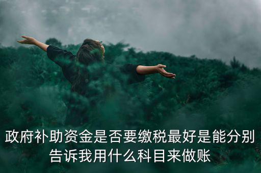 政府補(bǔ)貼交什么稅，關(guān)于政府補(bǔ)助的納稅問題 請(qǐng)高手來回答啊 謝謝