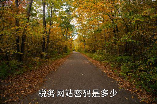國稅登陸用戶名密碼是什么，電子稅務(wù)局密碼怎么查