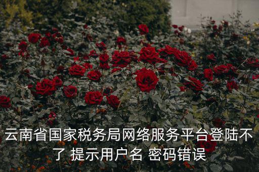 云南稅控服務(wù)平臺(tái)的網(wǎng)址是什么，云南國(guó)稅開(kāi)票系統(tǒng)網(wǎng)址