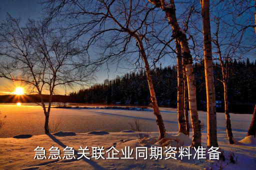 急急急關(guān)聯(lián)企業(yè)同期資料準備