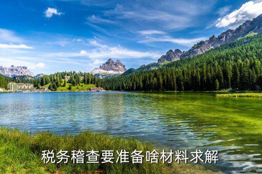稅收調(diào)查需要什么資料，稅務(wù)檢查調(diào)閱企業(yè)會(huì)計(jì)資料需要辦理什么手續(xù)