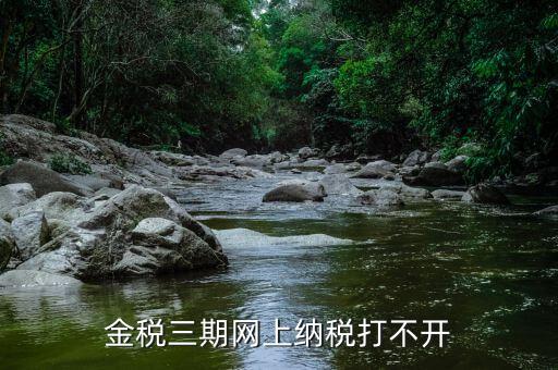 金稅門戶為什么打不開，金稅三期網(wǎng)上納稅打不開