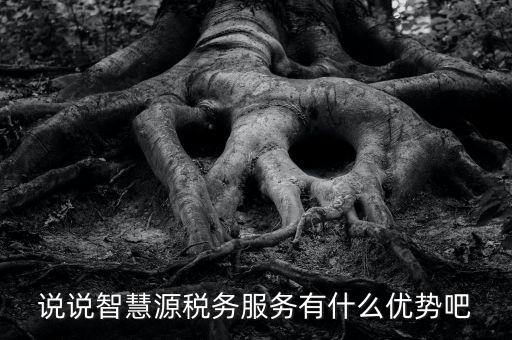 說說智慧源稅務服務有什么優(yōu)勢吧