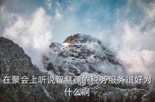 在聚會上聽說智慧源的稅務服務很好為什么啊