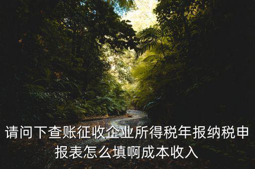 企業(yè)所得稅申報查賬是什么表，剛注冊了一個小規(guī)模的公司企業(yè)所得稅是查帳征收企業(yè)所得稅報表