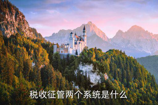 稅務(wù)什么叫核心征管系統(tǒng)，稅收征管兩個系統(tǒng)是什么