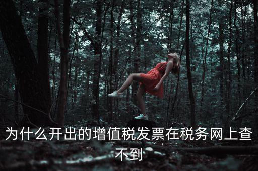 為什么我查不到發(fā)票，開(kāi)了發(fā)票為什么在國(guó)稅官網(wǎng)上查詢(xún)不到