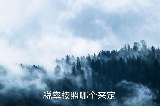 什么人定的稅收預(yù)測(cè)準(zhǔn)確率，稅率按照哪個(gè)來定