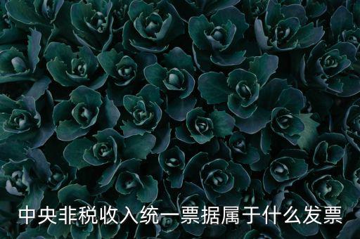 非稅發(fā)票是什么，中央非稅收入統(tǒng)一票據屬于什么發(fā)票