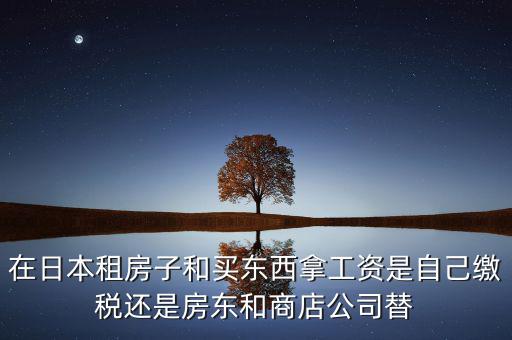 日本租稅法是什么稅，在日本租房子和買東西拿工資是自己繳稅還是房東和商店公司替
