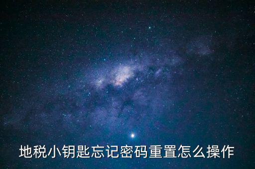 地稅密碼重置需要什么，地稅網上納稅申報密碼忘記了