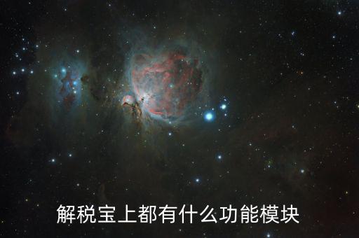 稅寶是什么意思，解稅寶上都有什么功能模塊