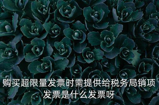 購買超限量發(fā)票時需提供給稅務(wù)局銷項發(fā)票是什么發(fā)票呀