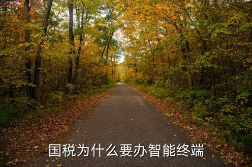 什么是地稅智能終端服務，國稅為什么要辦智能終端