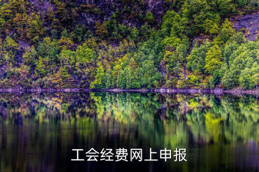工會(huì)經(jīng)費(fèi)在什么地方申報(bào)，有關(guān)工會(huì)經(jīng)費(fèi)申報(bào)的問題