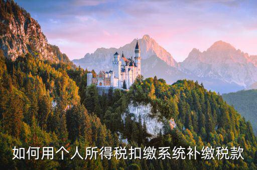 個人所得稅用什么系統(tǒng)，個人所得稅代扣代繳系統(tǒng) 支持Windows7 嗎