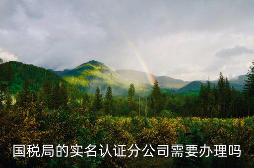 四川國稅局實名認(rèn)證需要什么手續(xù)，在國稅局辦理法人實名制認(rèn)證要帶什么材料