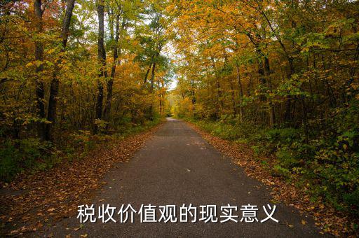 稅務(wù)精神凝聚著什么用，稅收價(jià)值觀的現(xiàn)實(shí)意義