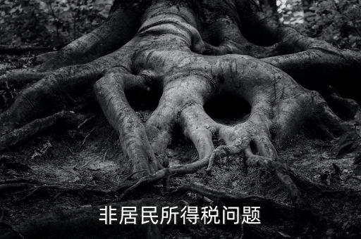 有什么是非居民企業(yè)，個私企業(yè)的范圍除了個體戶還包括哪些性質的企業(yè)