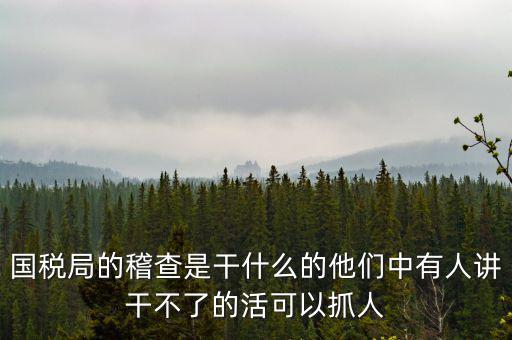 國稅局查什么的，國稅局的稽查是干什么的他們中有人講干不了的活可以抓人