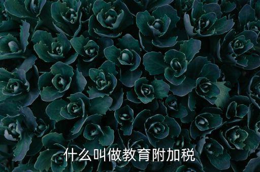 教育附加什么意思，教育費附加代表什么意思