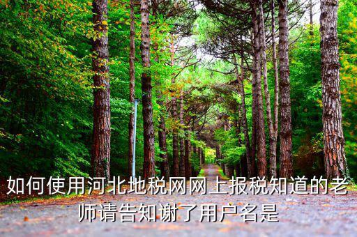 河北省地稅登陸的用戶(hù)名是什么意思，在網(wǎng)上報(bào)稅登陸時(shí)用戶(hù)名是什么