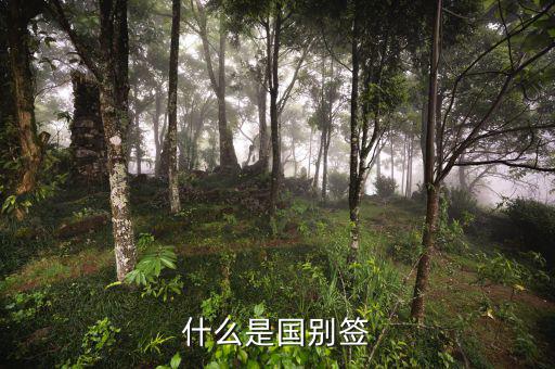 什么是國別報送條件，國別是什么意思